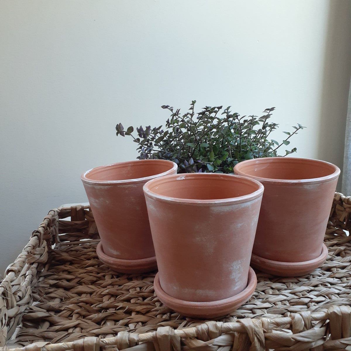 Aged Terracotta Garden Pots - Flared – Farmhouse Pottery