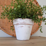 French Country Inspired Terra Cotta Planter