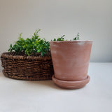 Rustic Aged Terra Cotta Pot and Saucer