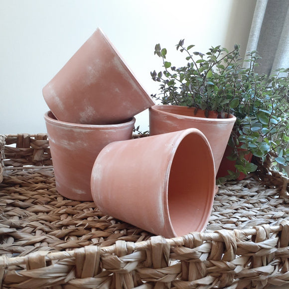 Rustic Aged Terra Cotta Pot and Saucer