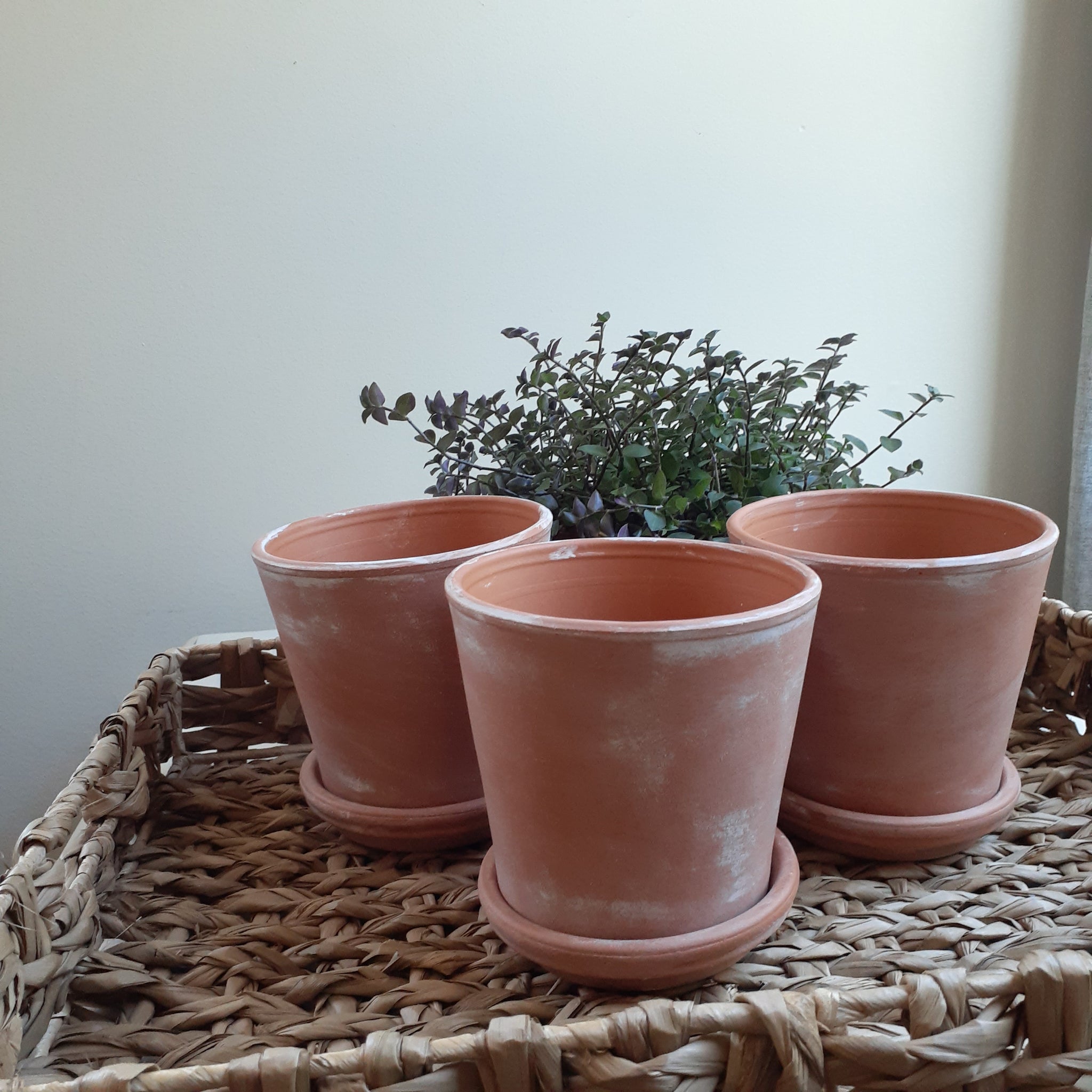 Rustic Aged Terra Cotta Pot and Saucer – The Shutter House